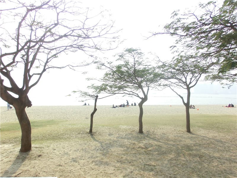 CIMG5943.jpg CIMG5943.jpg