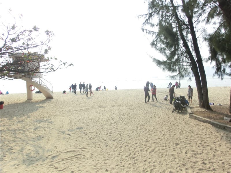 CIMG5931.jpg CIMG5931.jpg