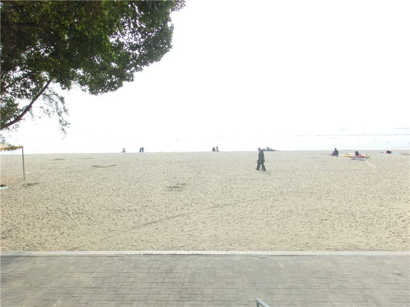 CIMG5937.jpg CIMG5937.jpg