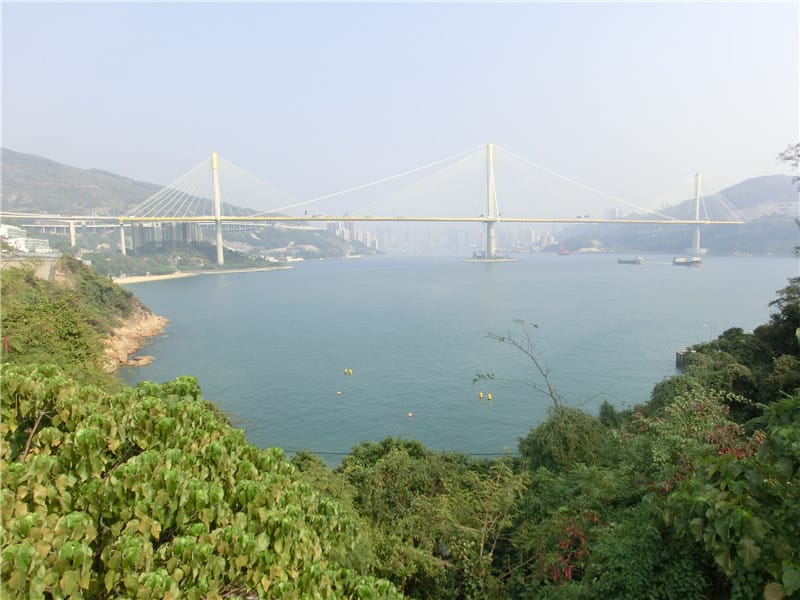 CIMG5910.jpg CIMG5910.jpg