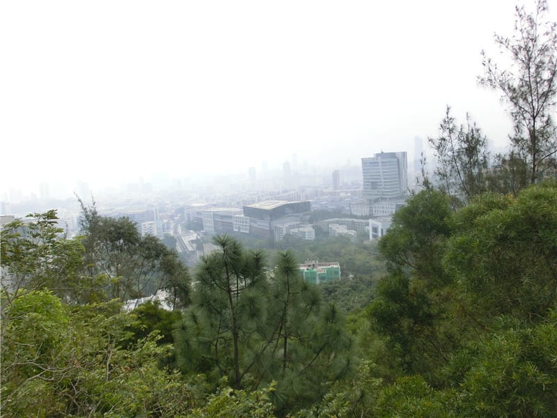 CIMG5807.jpg CIMG5807.jpg