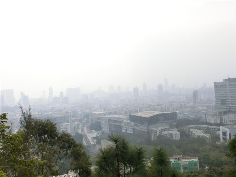 CIMG5805.jpg CIMG5805.jpg