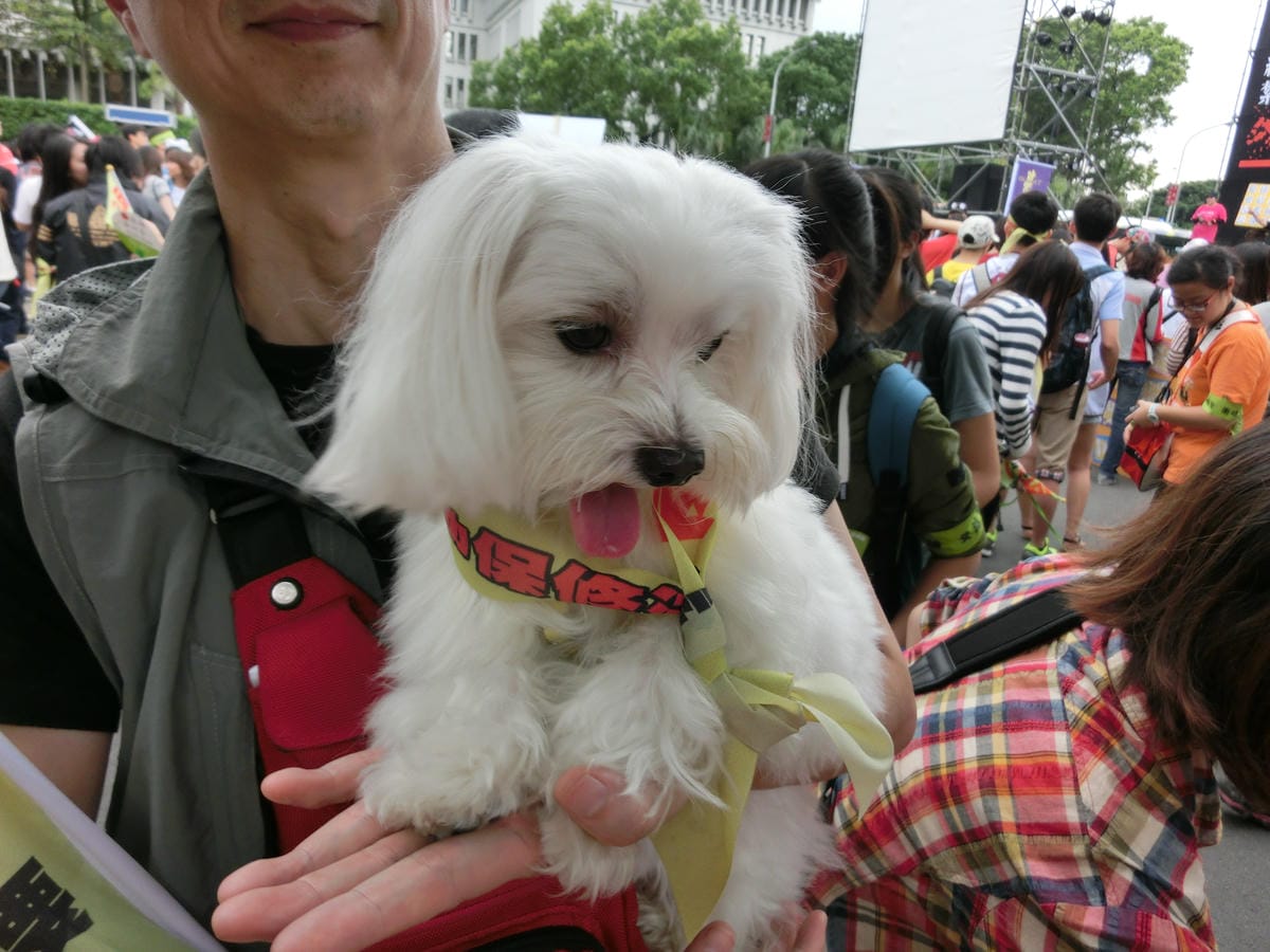 CIMG9563 - 複製.JPG