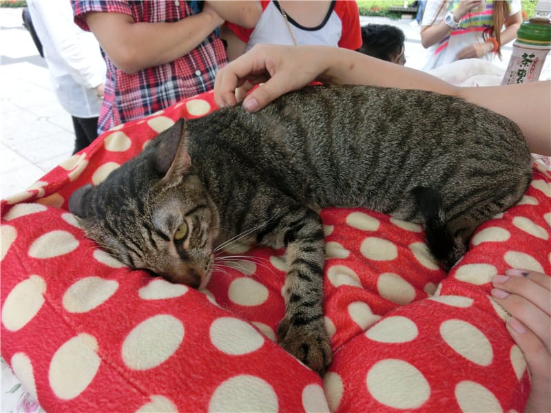 CIMG1290.jpg CIMG1290.jpg