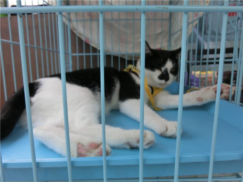 CIMG1288.jpg CIMG1288.jpg