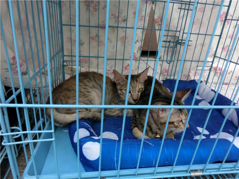 CIMG1281.jpg CIMG1281.jpg