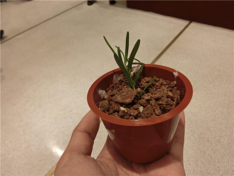 1401035984-317482787.jpg 1401035984-317482787.jpg