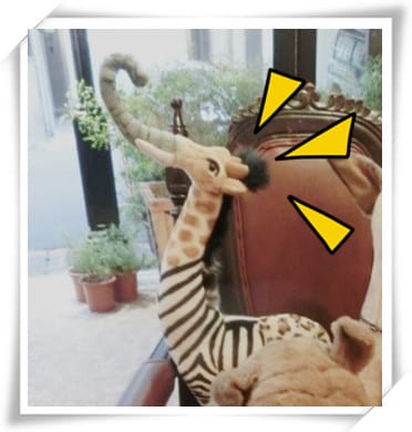 1401294706-3357983023_副本.jpg 1401294706-3357983023_副本.jpg