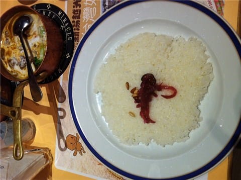 魔法咖哩 -愛吃咖哩時一定要來坐坐 - 第5張圖 白飯 - 內湖區的魔法咖哩)