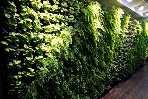 咖啡弄-姐妹好歡樂下午茶 - 第2張圖 生意盎然的門面 - 中正區的咖啡弄)