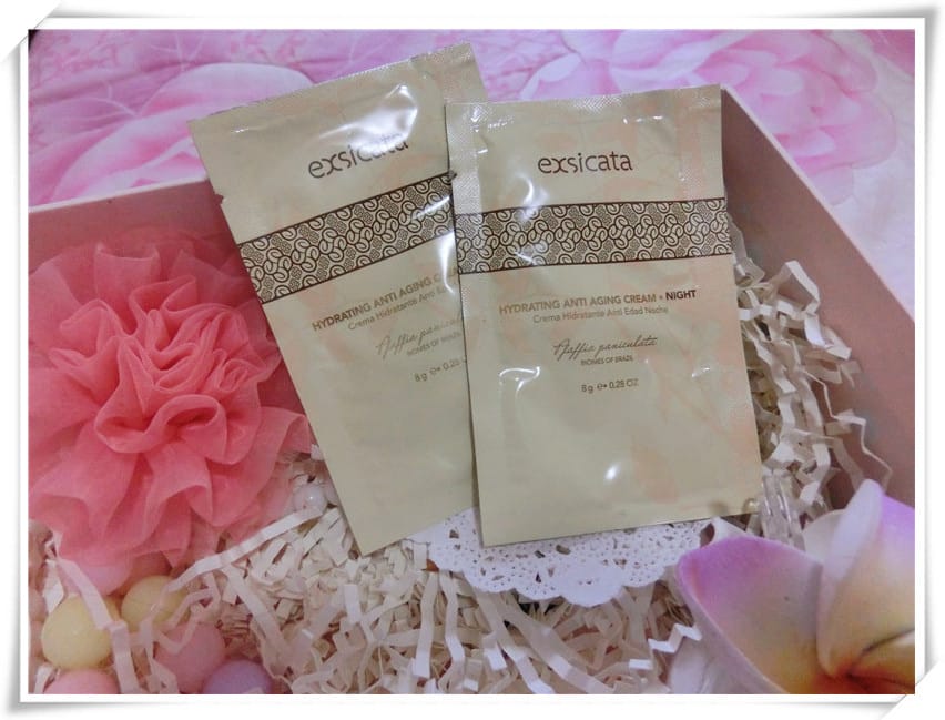 CIMG7841.jpg CIMG7841.jpg