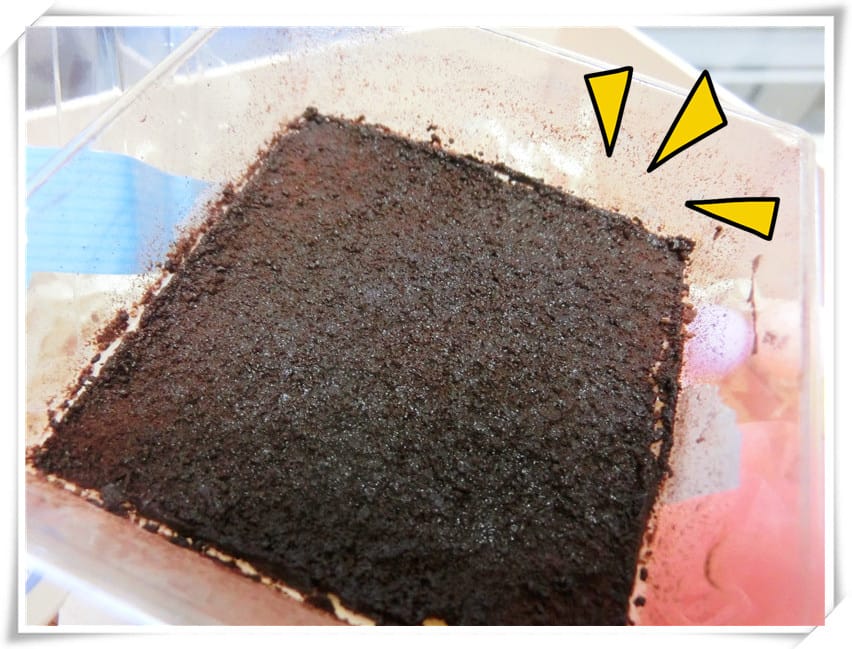 CIMG1406.jpg CIMG1406.jpg