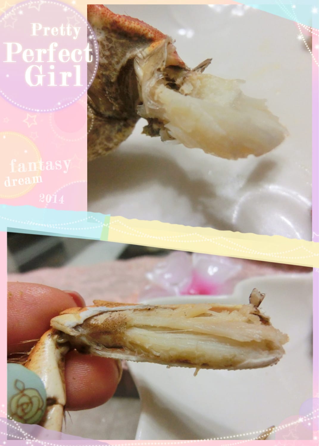 1416496355-636793649.jpg 1416496355-636793649.jpg