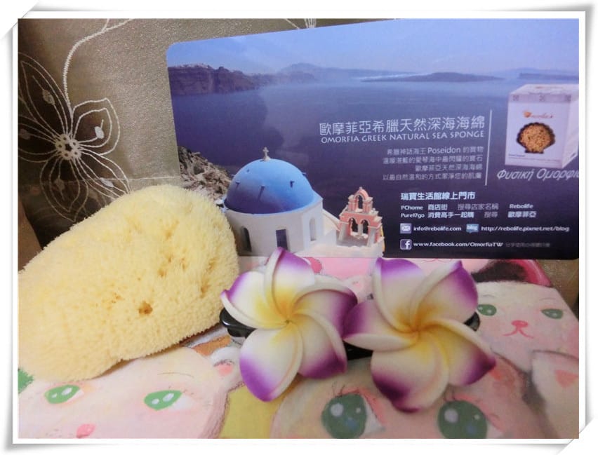 1416413252-2515640365.jpg 1416413252-2515640365.jpg