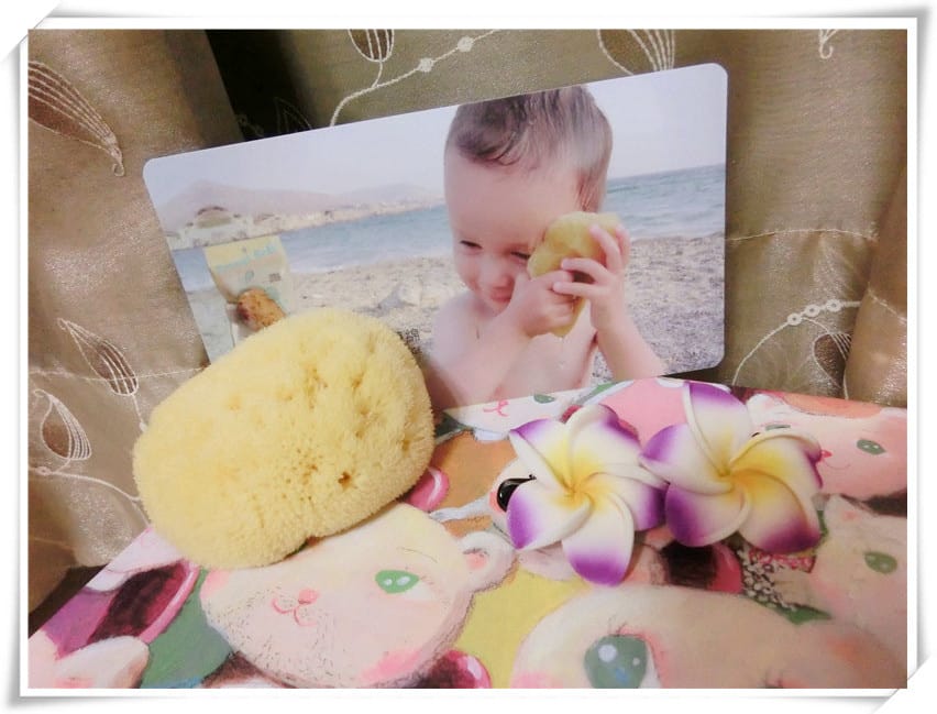 1416413252-2504686074.jpg 1416413252-2504686074.jpg