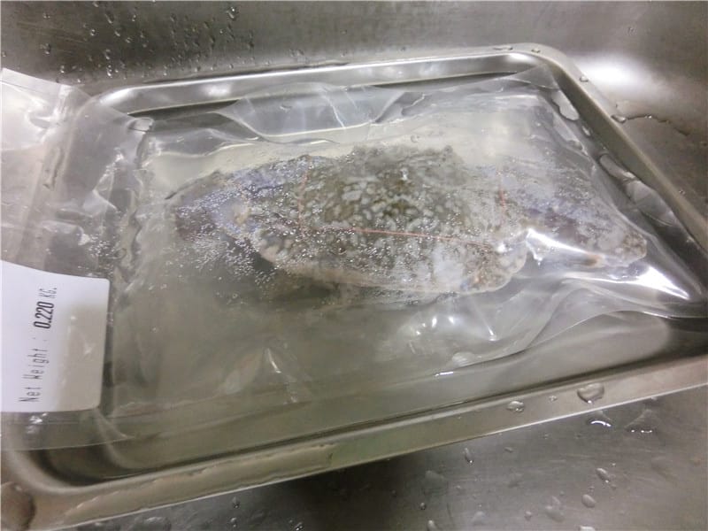 CIMG2407.jpg CIMG2407.jpg