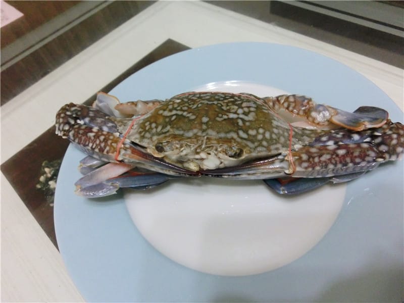 CIMG2421.jpg CIMG2421.jpg