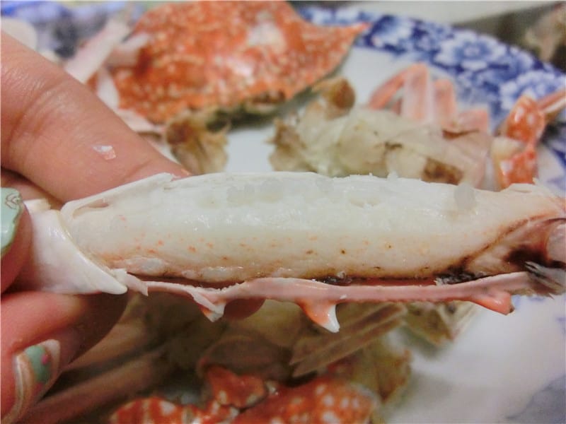 CIMG2441.jpg CIMG2441.jpg