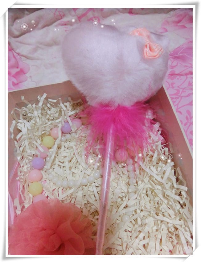 CIMG4949.jpg CIMG4949.jpg