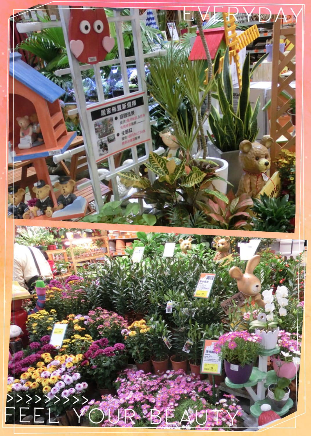 CIMG7161_副本.jpg CIMG7161_副本.jpg