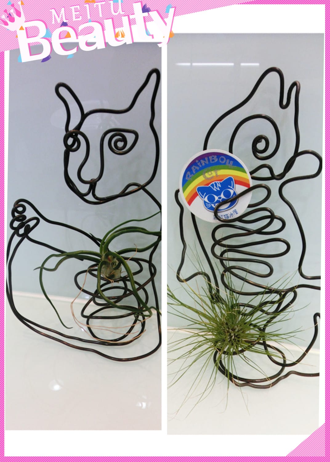 1422805375-3063423132.jpg 1422805375-3063423132.jpg