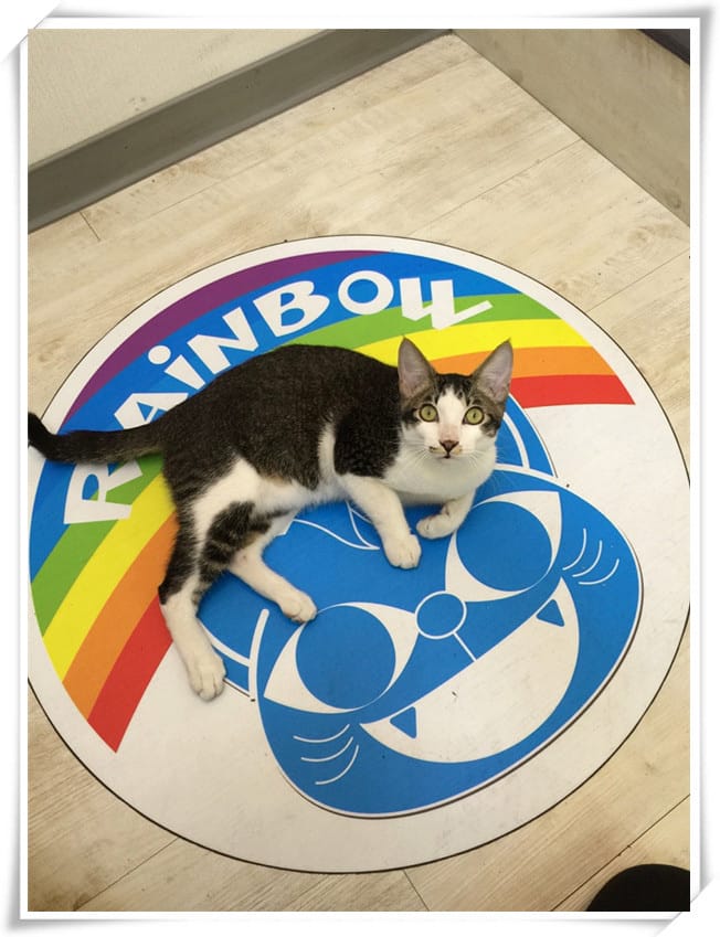 1422805365-3530393337.jpg 1422805365-3530393337.jpg