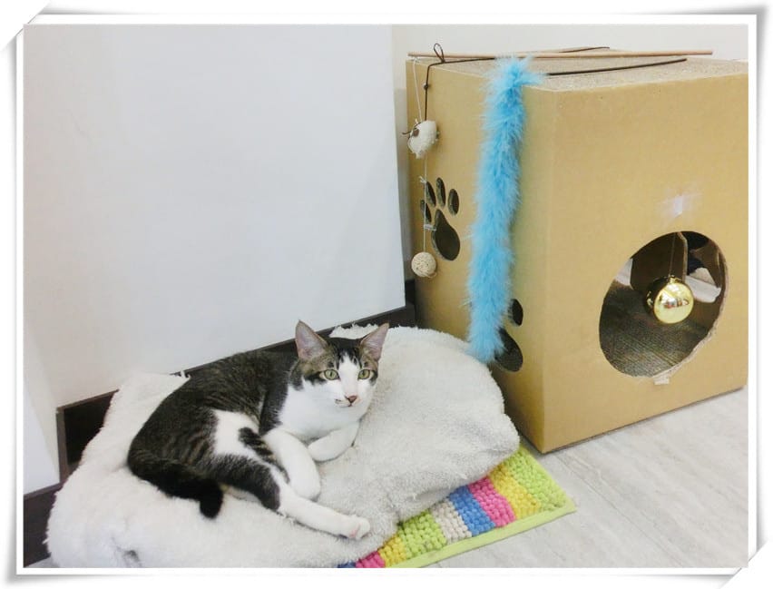 1422805374-548994080.jpg 1422805374-548994080.jpg