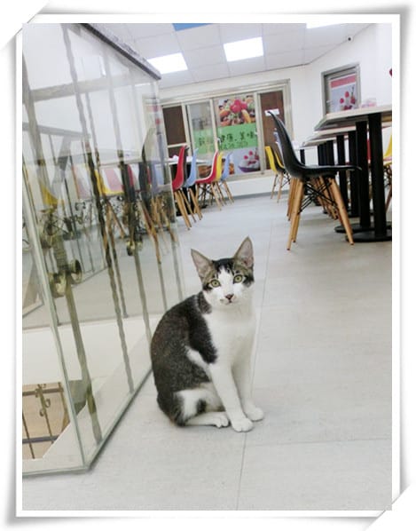 1422805385-388414403.jpg 1422805385-388414403.jpg