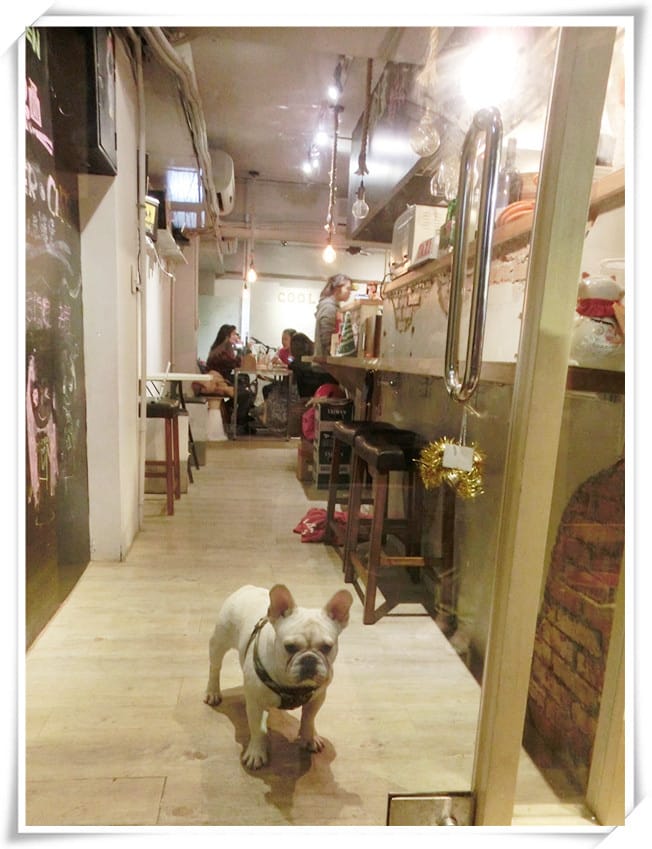 [國父紀念館站.寵物餐廳]Cool Zi 胖東西廚房~美味的義大利麵和牛肉堡與超可愛法國鬥牛犬伴你渡過美食時光