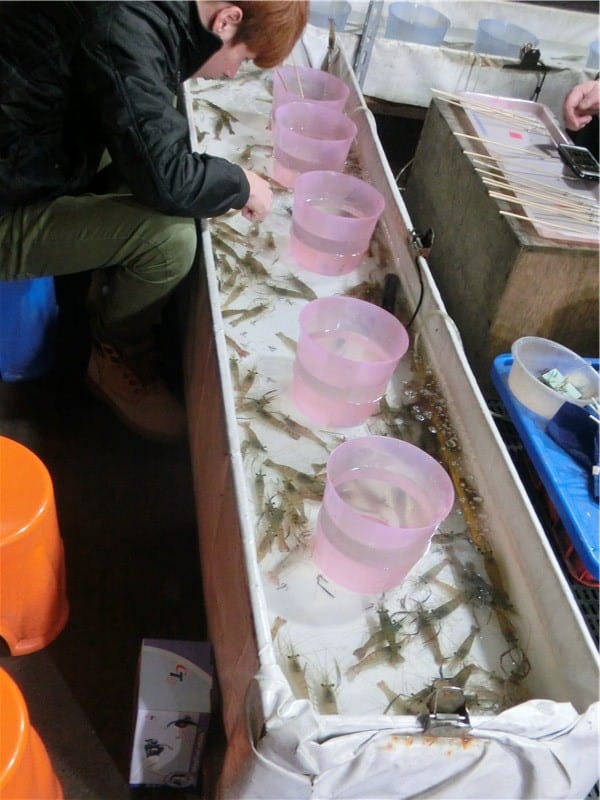 1424021514-970532922.jpg 1424021514-970532922.jpg