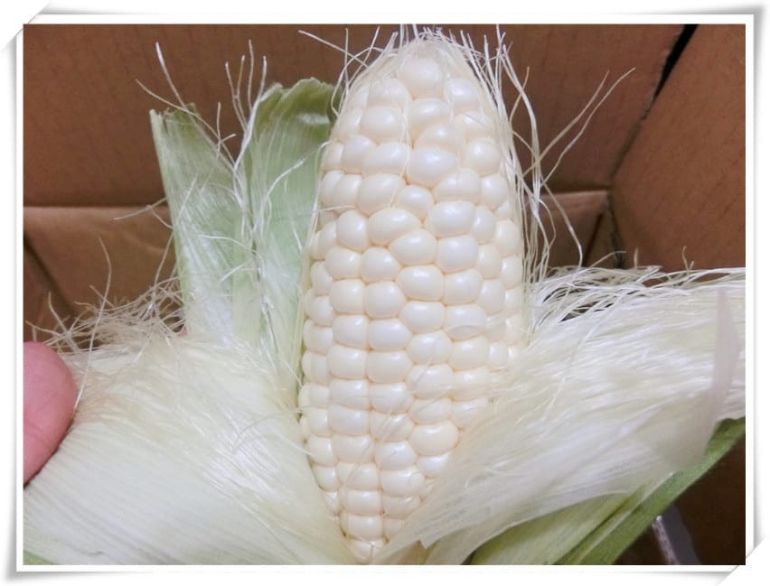 1428856331-1187883965.jpg 1428856331-1187883965.jpg