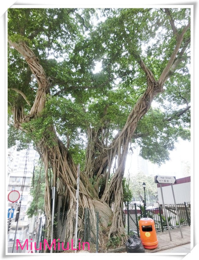 1429807359-2449517604.jpg 1429807359-2449517604.jpg