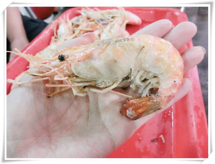 1430065923-896326093.jpg 1430065923-896326093.jpg