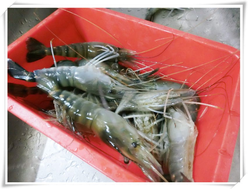 1430065879-827624281.jpg 1430065879-827624281.jpg