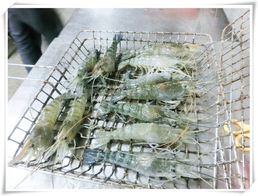 1430065896-3169467048.jpg 1430065896-3169467048.jpg