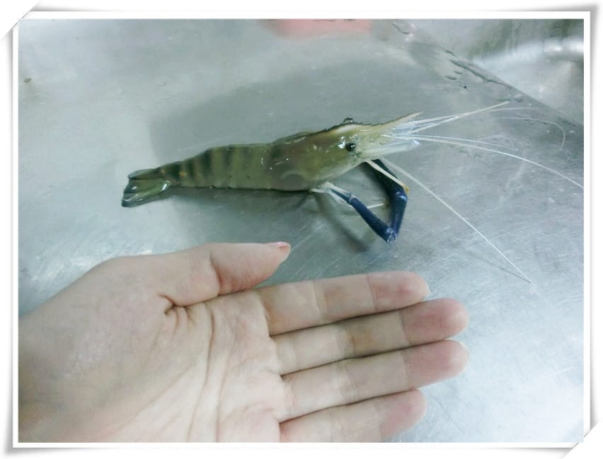 1430065876-1878143786.jpg 1430065876-1878143786.jpg