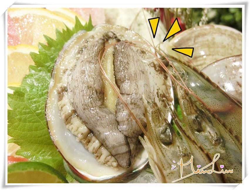 1431533662-4281075249.jpg 1431533662-4281075249.jpg