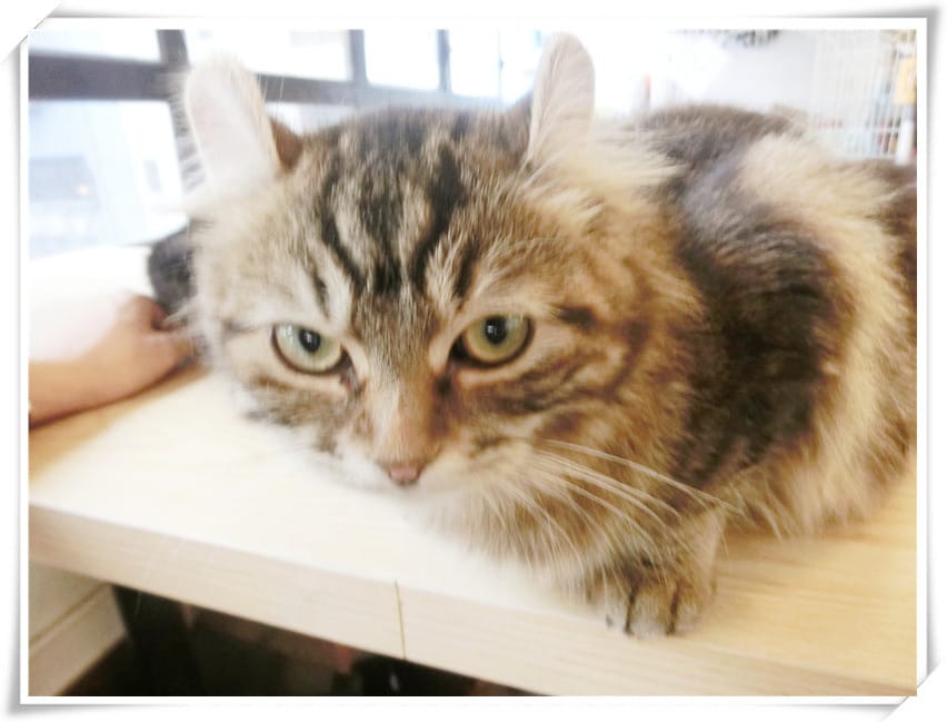 1429807454-2599845570.jpg 1429807454-2599845570.jpg