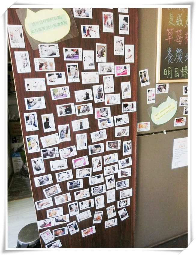 1429807503-1308125612.jpg 1429807503-1308125612.jpg