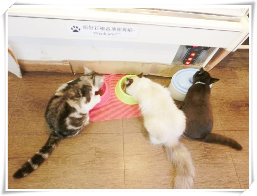 1429807483-1755661509.jpg 1429807483-1755661509.jpg