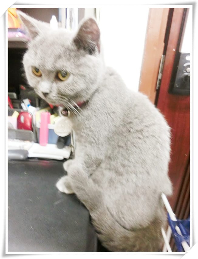 1429807511-1358480586.jpg 1429807511-1358480586.jpg