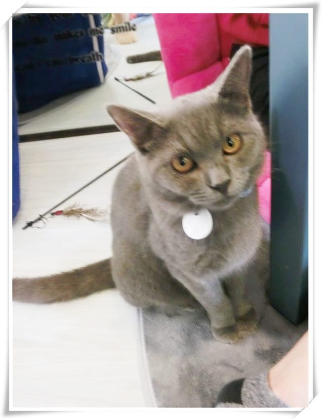 1429807516-1144737200.jpg 1429807516-1144737200.jpg