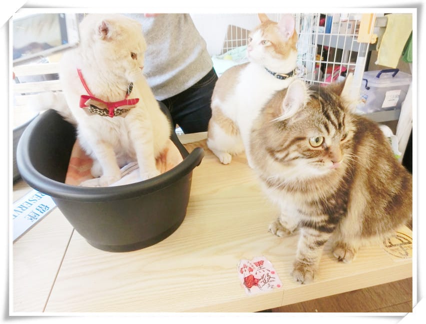 1429807473-3662409487.jpg 1429807473-3662409487.jpg