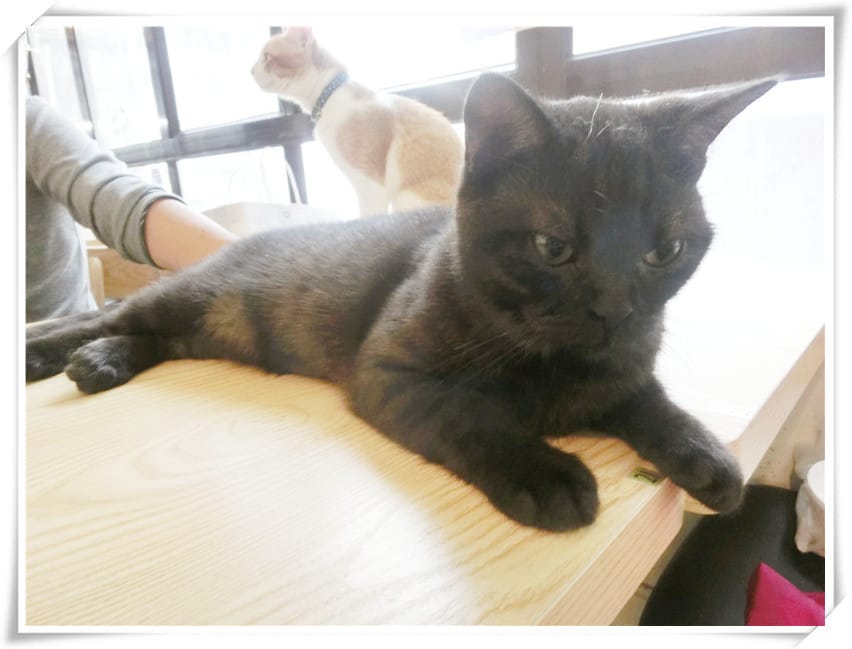 1429807455-1349143121.jpg 1429807455-1349143121.jpg