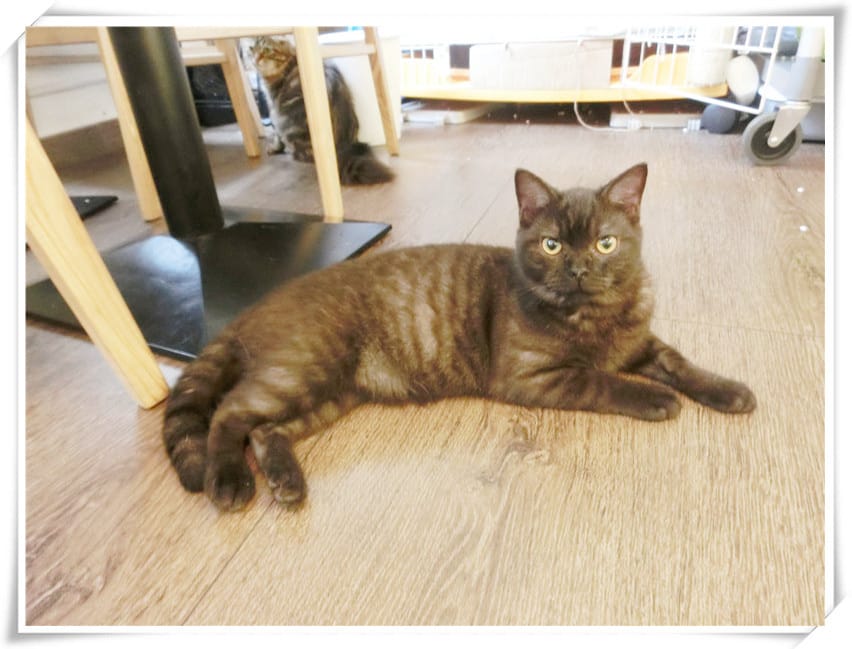 1429807389-621380919.jpg 1429807389-621380919.jpg