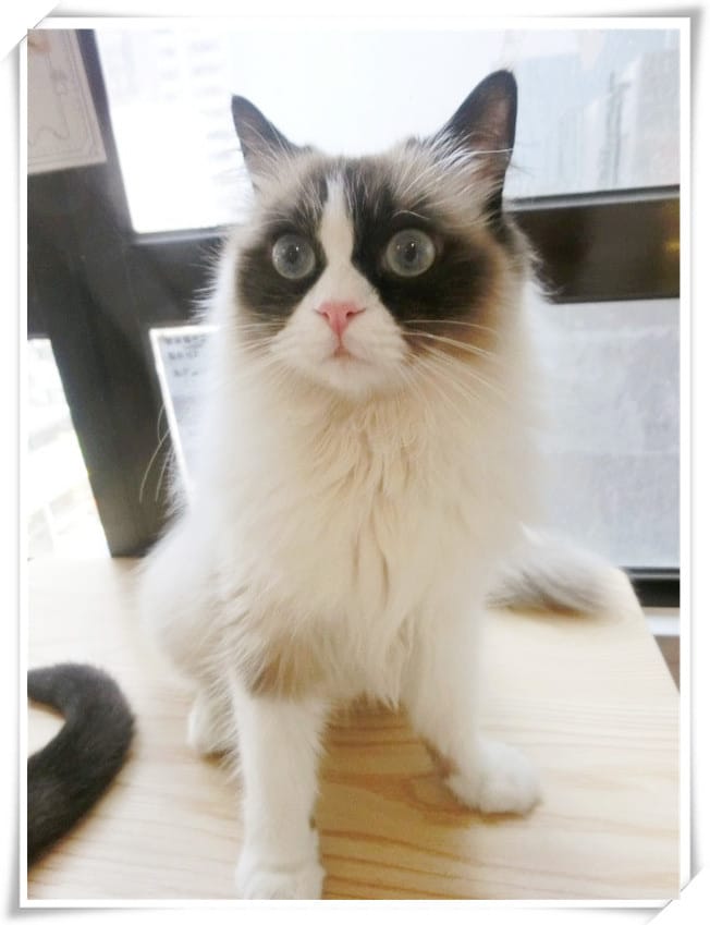 1429807422-1736174851.jpg 1429807422-1736174851.jpg