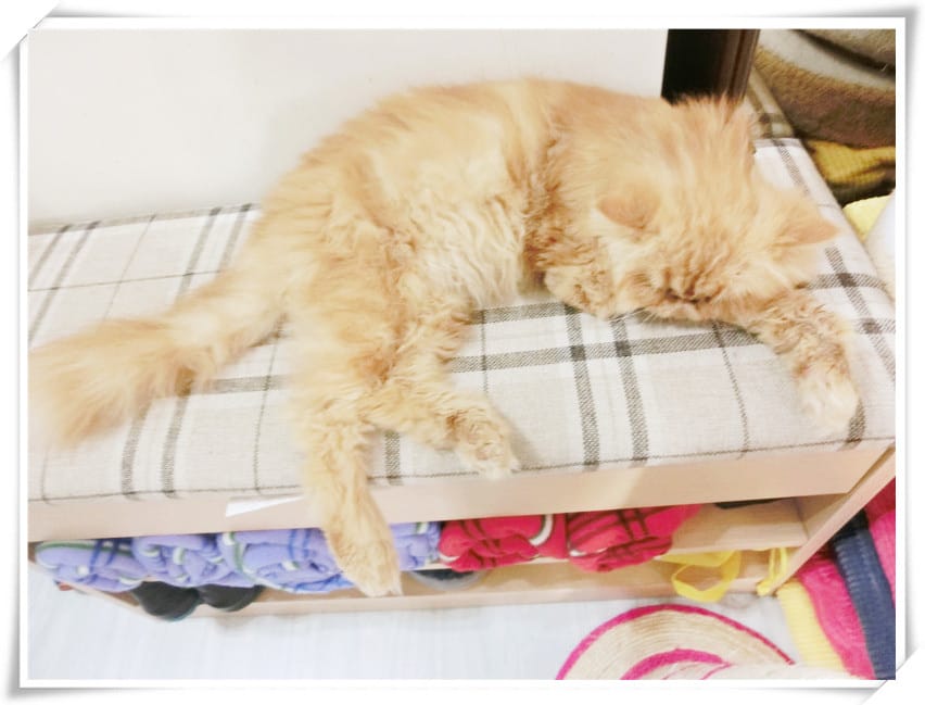 1429807509-522208265.jpg 1429807509-522208265.jpg