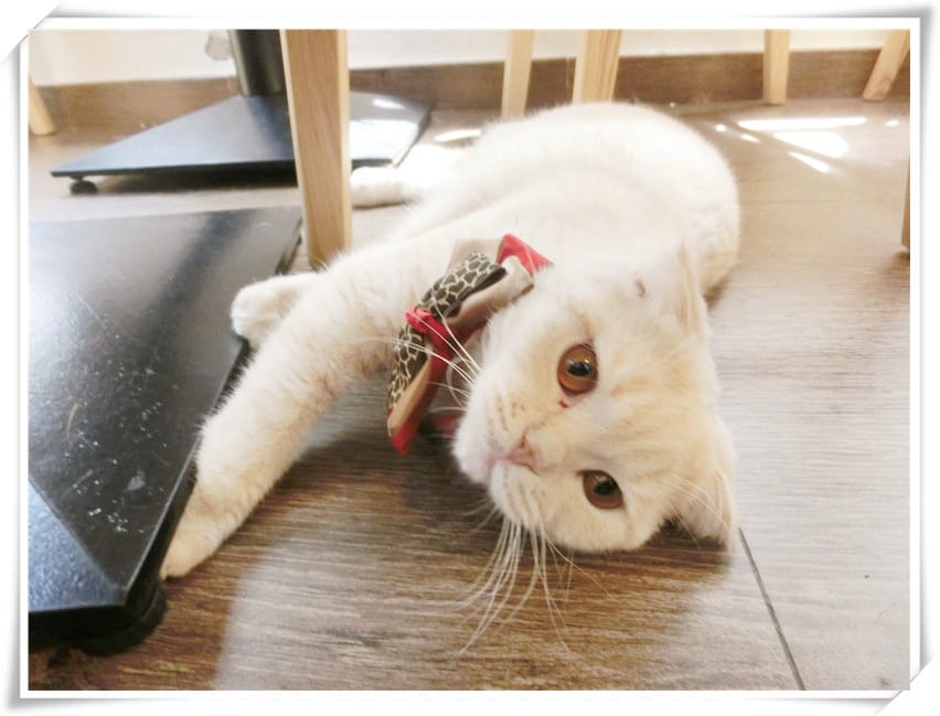 1429807392-4023673906.jpg 1429807392-4023673906.jpg