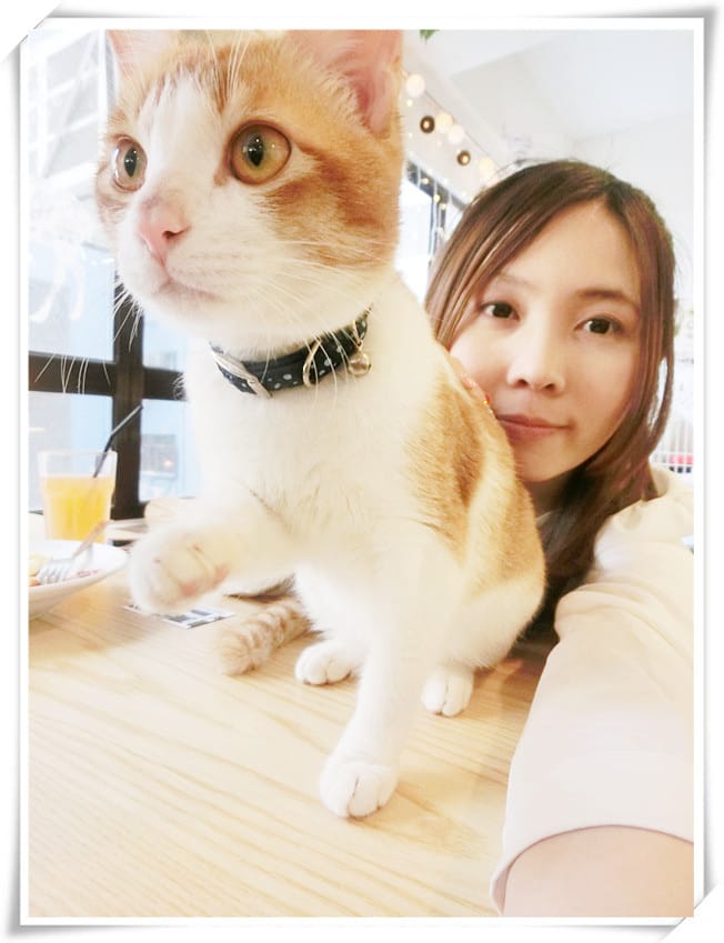 1429807482-234365239.jpg 1429807482-234365239.jpg