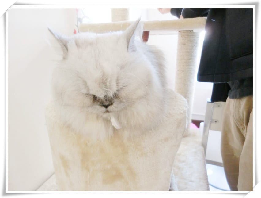 1429807513-4037316104.jpg 1429807513-4037316104.jpg